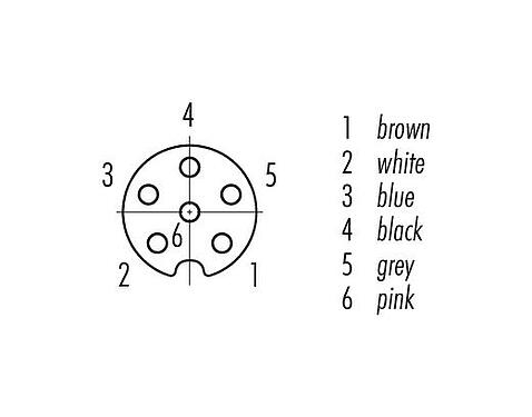 Contact arrangement (Plug-in side) 77 3706 0000 50006-0200 - M8 Female cable connector, Contacts: 6, unshielded, moulded on the cable, IP67/IP69K, UL, PUR, black, 6 x 0.25 mm², stainless steel, 2 m