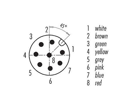 Disposición de los contactos (lado de la conexión) M12 Conector macho en ángulo, Número de contactos: 8, sin blindaje, moldeado en el cable, IP68/IP69K, UL 2238, PUR, negro, 8 x 0,25 mm², 2 m