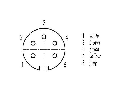 Contact arrangement (Plug-in side) M16 Female panel mount connector, Contacts: 5 (05-a), unshielded, single wires, IP40, M18x0,75, Front mounting