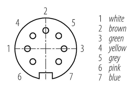 Disposición de los contactos (lado de la conexión) 77 6430 0000 50007-0500 - M16 Conector de cable hembra, Número de contactos: 7, sin blindaje, moldeado en el cable, IP68, PUR, negro, 7 x 0,25 mm², 5 m