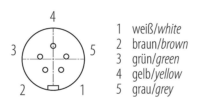 Disposición de los contactos (lado de la conexión) Snap-In Conector hembra en ángulo, Número de contactos: 5, 4,0-6,0 mm, sin blindaje, soldadura, IP67