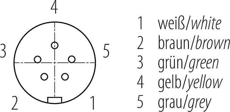 Contact arrangement (Plug-in side) Snap-In Female angled connector, Contacts: 5, 2.5-4.0 mm, unshielded, solder, IP67