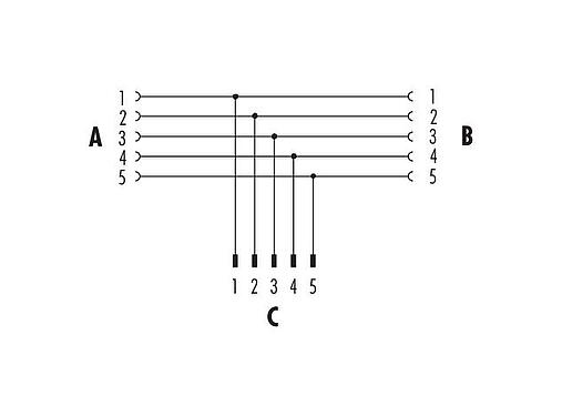 Schémas d’affectation des broches Snap-In Répartiteur double, Y-distributeur, Contacts: 5, non blindé, enfichable, IP67, UL 2238, VDE