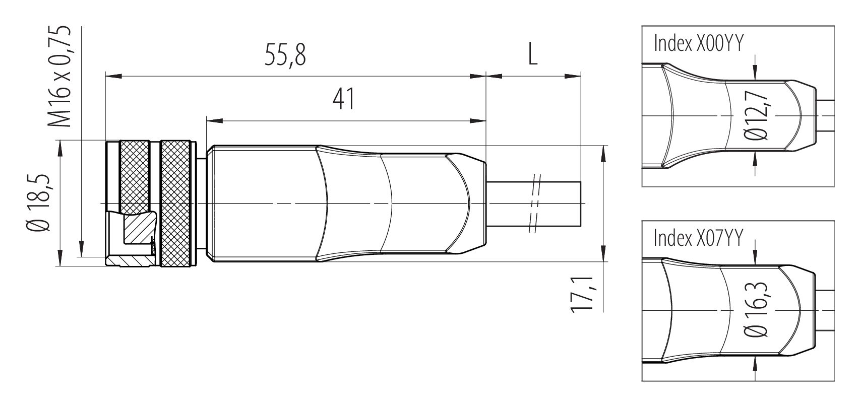 Scale drawing M16 Female cable connector, Contacts: 12, unshielded, moulded on the cable, IP67, PUR, black, 12 x 0.25 mm², 2 m