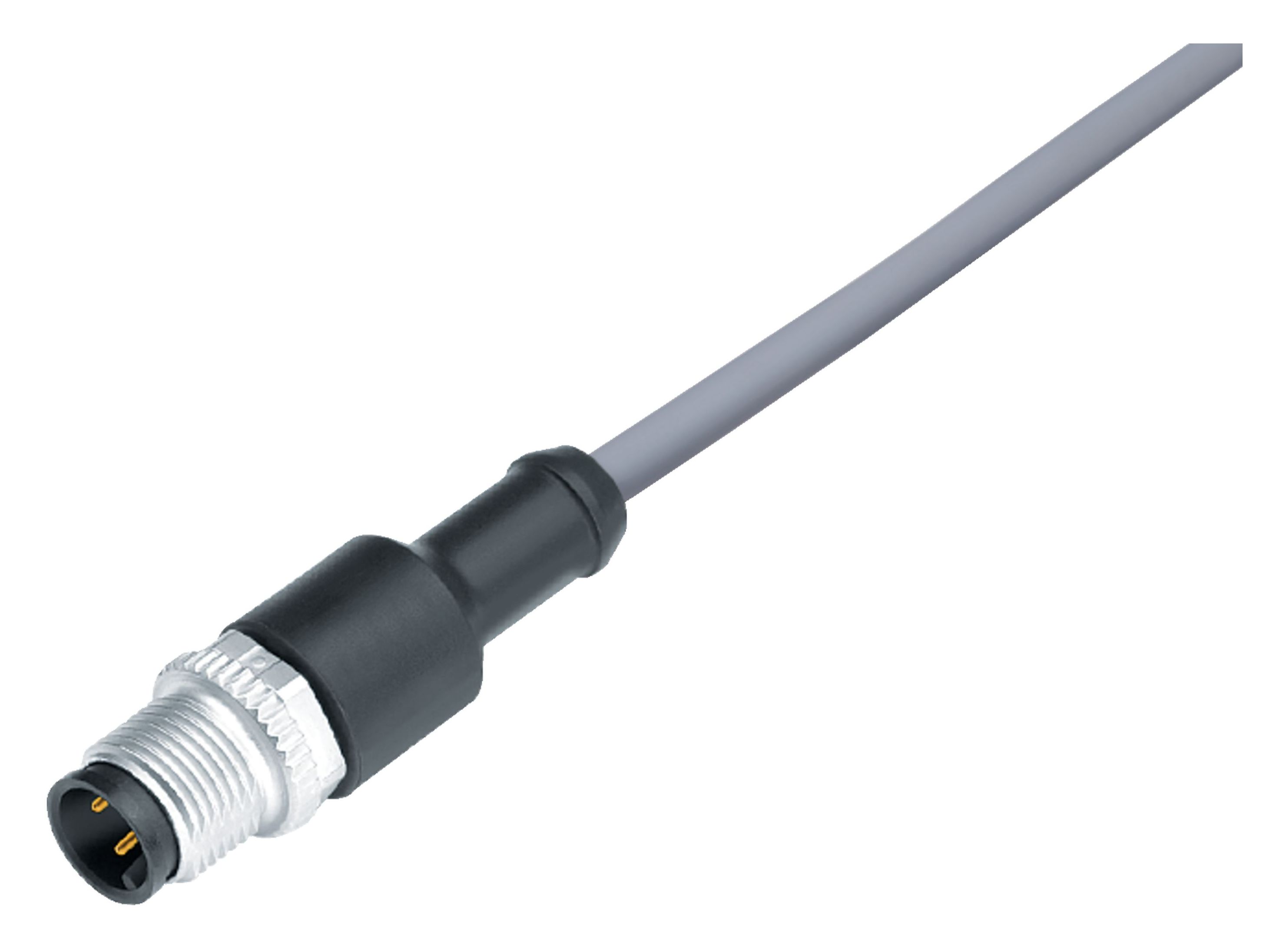 M12, Male cable connector, IP69K, unshielded, Contacts: 12